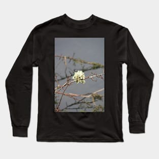 Lakes: Moss and twigs Long Sleeve T-Shirt